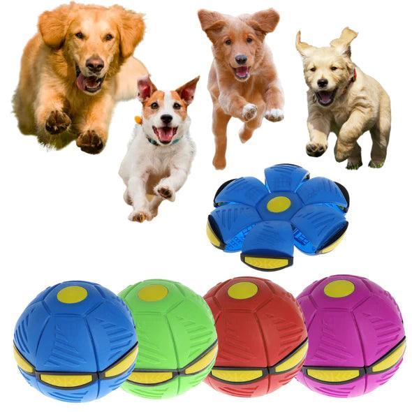 Brinquedo Pet Bola Mágica Que Pula E Vira Disco Voador